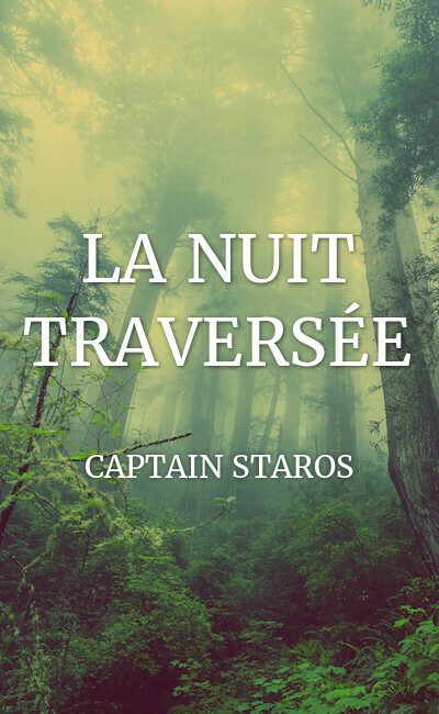Image de couverture de LA NUIT TRAVERSÉE