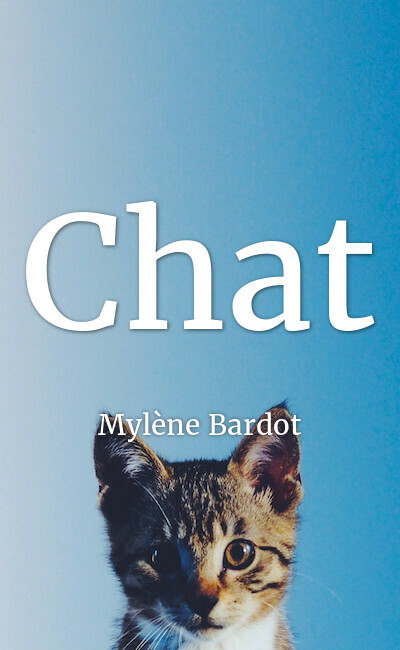 Image de couverture de Chat