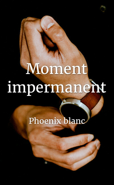 Image de couverture de Moment impermanent
