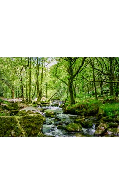 Image de couverture de Cette vie