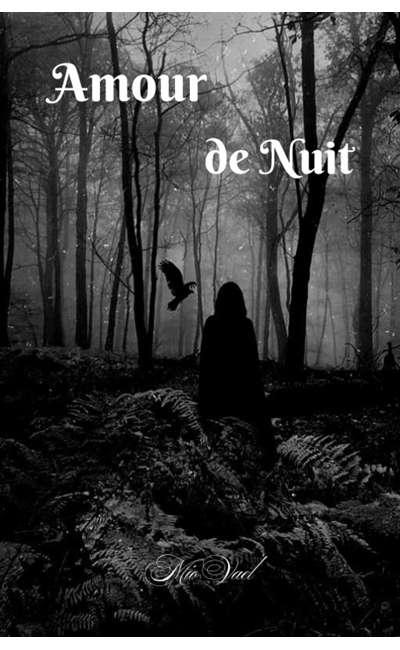 Image de couverture de Amours de Nuit