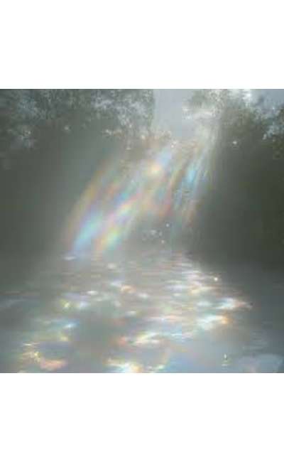 Image de couverture de Apologie du Soleil