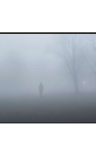 Image de couverture de Brouillard ou Fog