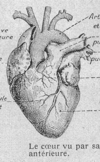 Image de couverture de Techniquement parlant