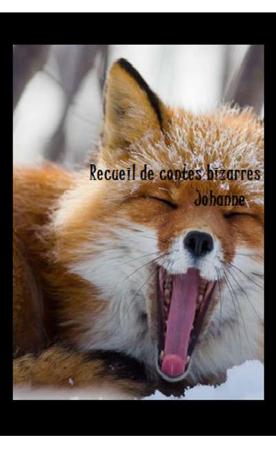 Image de couverture de Recueil de contes bizarres