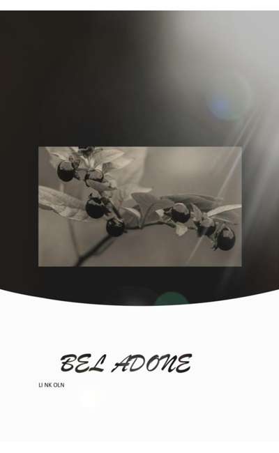 Image de couverture de Bel Adone