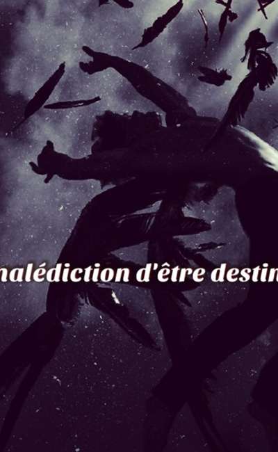 Image de couverture de La malédiction d'être destinés