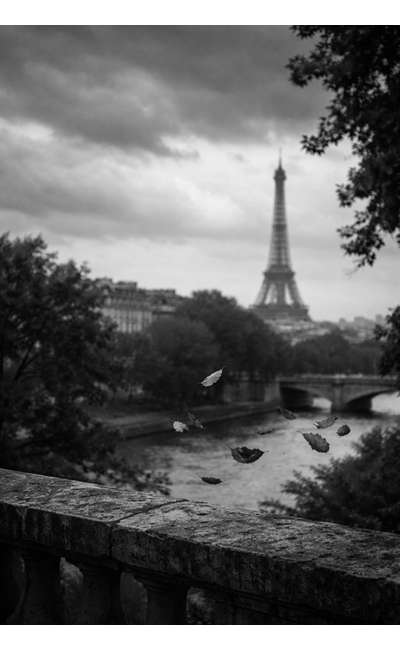 Image de couverture de Avant les premières secousses