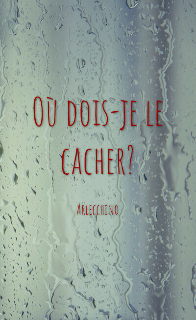 Image de couverture de Où dois-je le cacher?