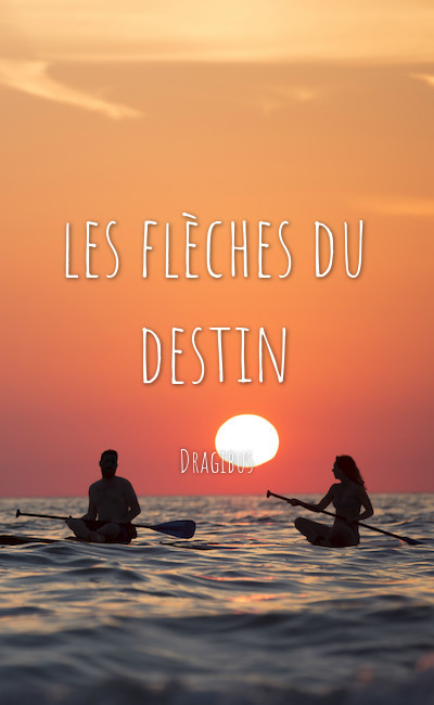 Image de couverture de les flèches du destin