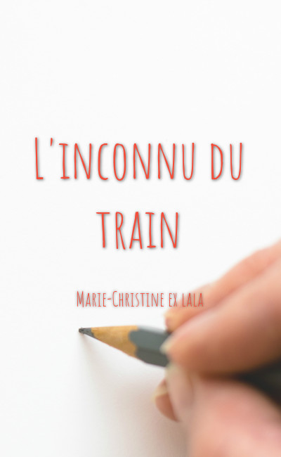 Image de couverture de L'inconnu du train