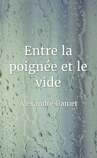 Image de couverture de Entre la poignée et le vide