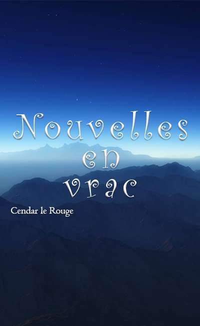 Image de couverture de Nouvelles en vrac