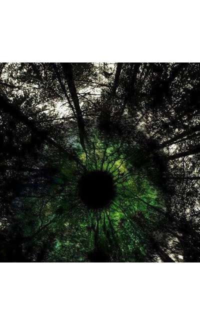 Image de couverture de Les Yeux de la Forêt