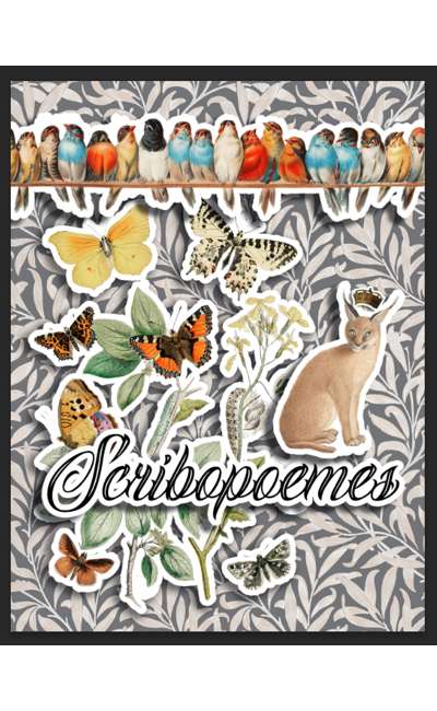 Image de couverture de SCRIBOPOÈMES