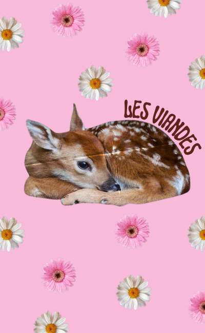 Image de couverture de Les Viandes