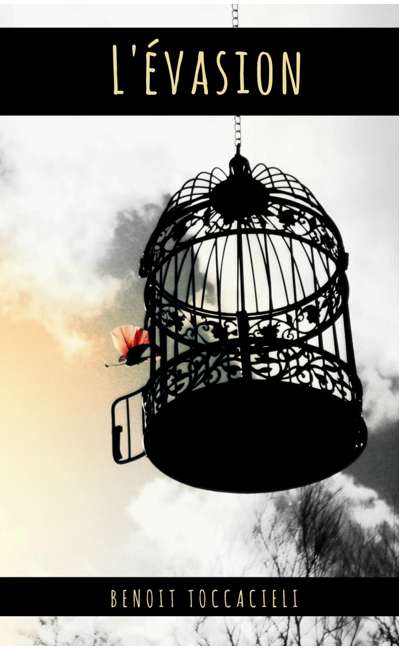 Image de couverture de L'Evasion
