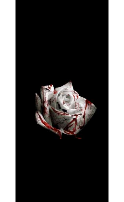 Image de couverture de cœur soumis