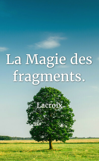 Image de couverture de La Magie des fragments.