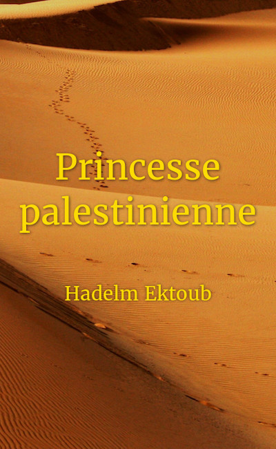 Image de couverture de Princesse palestinienne