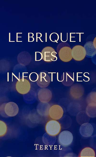 Image de couverture de Le Briquet des Infortunes