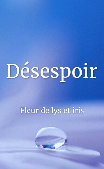Image de couverture de Désespoir
