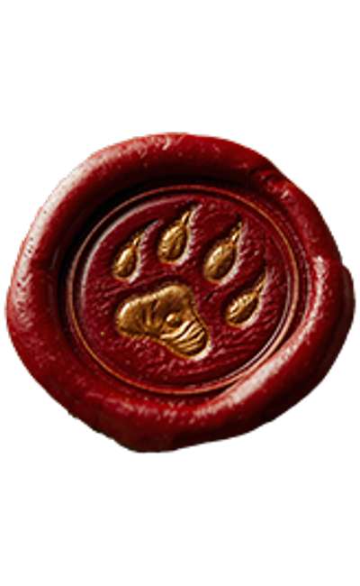 Image de couverture de Ortau Grafe