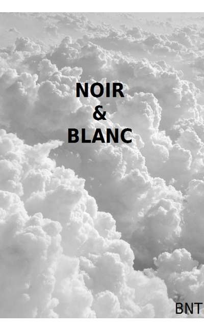 Image de couverture de NOIR & BLANC [T2 - CYCLE DE LA FOLIE] [TERMINÉ]