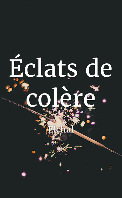 Image de couverture de Éclats de colère