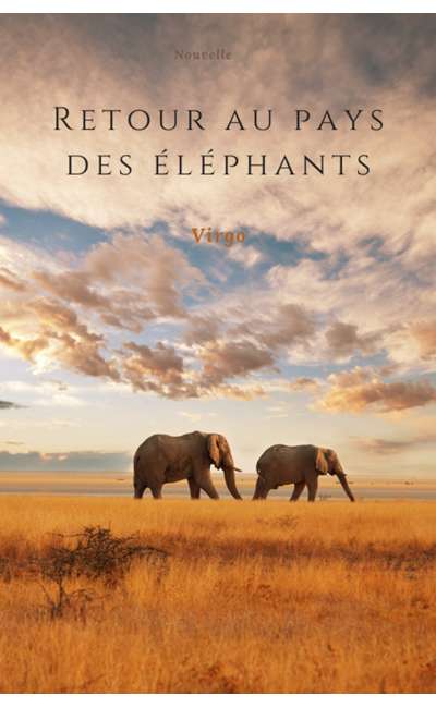 Image de couverture de Retour au pays des éléphants