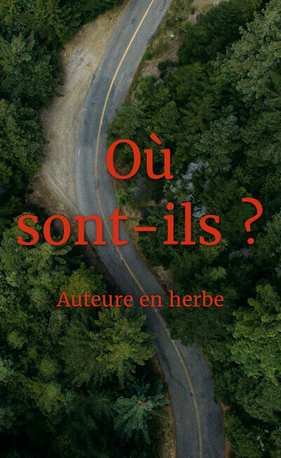 Image de couverture de Où sont-ils ?