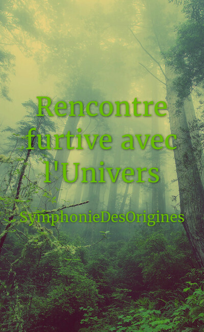 Image de couverture de Rencontre furtive avec l'Univers
