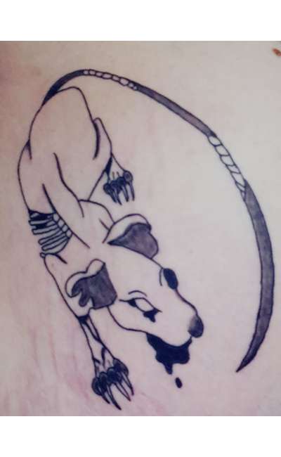 Image de couverture de secret gravé dans l'encre, caché dans le cœur