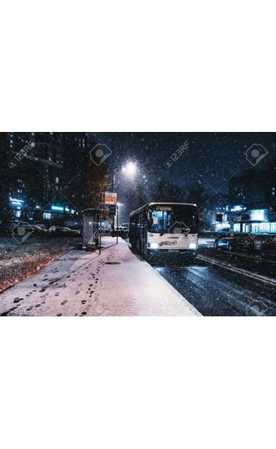 Image de couverture de L'arrêt de bus