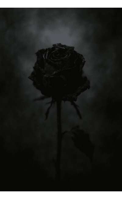 Image de couverture de Recueil