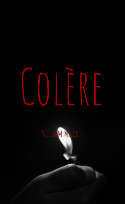 Image de couverture de Colère