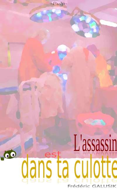 Image de couverture de L'assassin est dans ta culotte