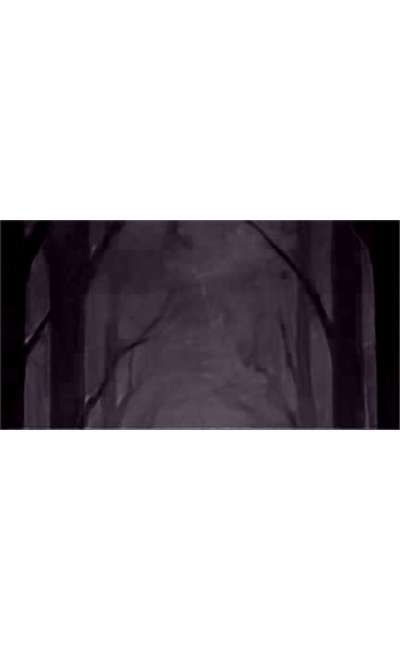 Image de couverture de Dans l'inconscient de moi-même