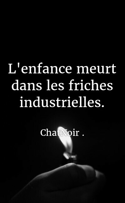 Image de couverture de L'enfance meurt dans les friches industrielles.