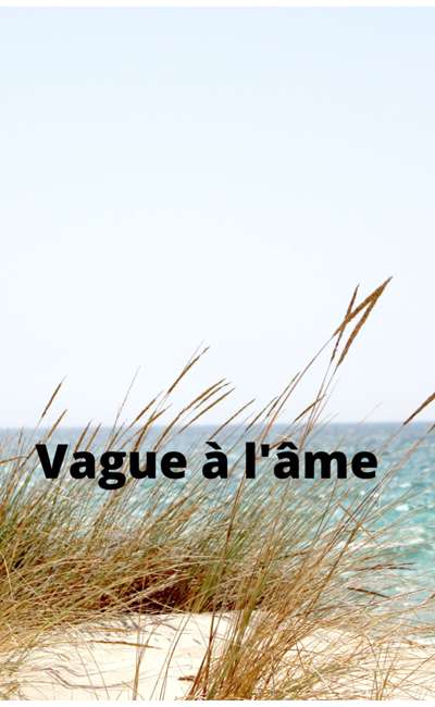 Image de couverture de Vague à l'âme