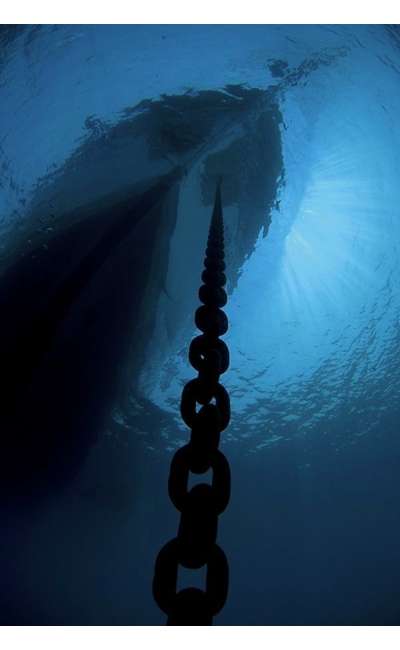 Image de couverture de Cyanea : La croisière de rêve