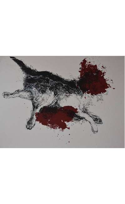 Image de couverture de Tout a commencé durant un été