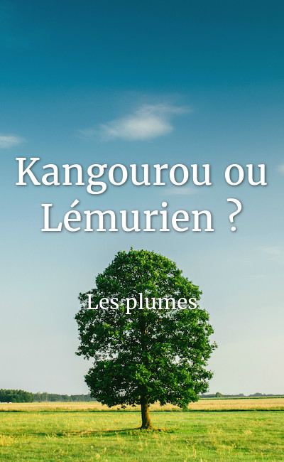 Image de couverture de Kangourou ou Lémurien ?