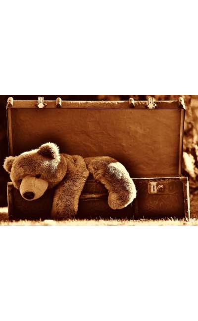 Image de couverture de Réponse à micro nouvelle 147, Moi, l'ours, le Compagnon (mercredi)