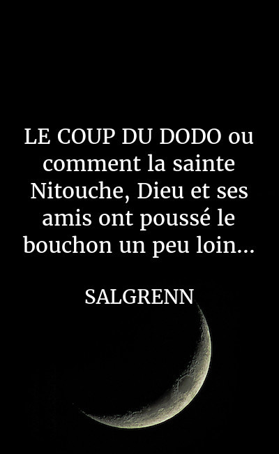 Image de couverture de LE COUP DU DODO ou comment la sainte Nitouche, Dieu et ses amis ont poussé le bouchon un peu loin...