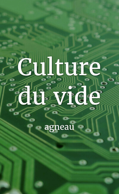 Image de couverture de Culture du vide