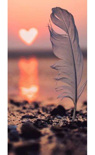 Image de couverture de Quotes