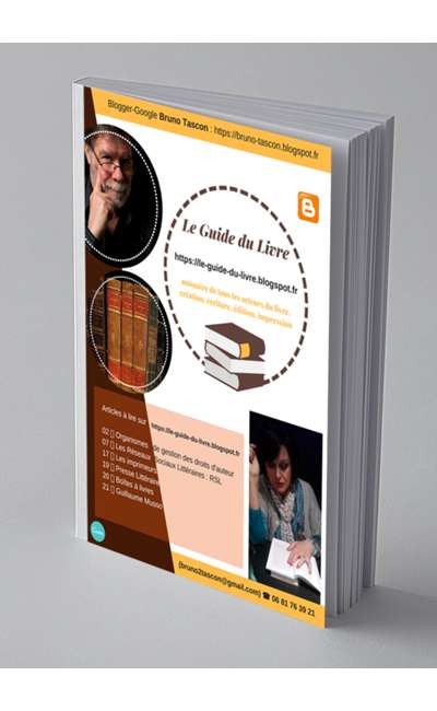 Image de couverture de LE GUIDE DU LIVRE (https://le-guide-du-livre.blogspot.fr)
