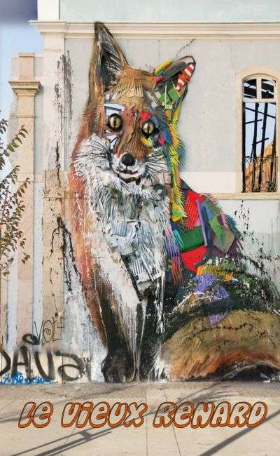 Image de couverture de Le vieux renard