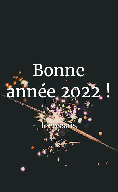 Image de couverture de Bonne année 2022 !